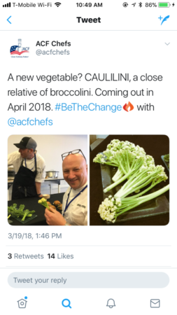 Caulilini on Social Media